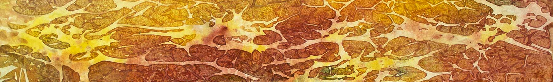 illustration of orange and yellow cracked earth