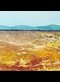 illustration of orange and yellow cracked earth with blue mountains in the distance