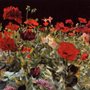 a painting of a field of poppies