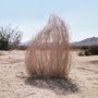 a tumbleweed in a desert landscape
