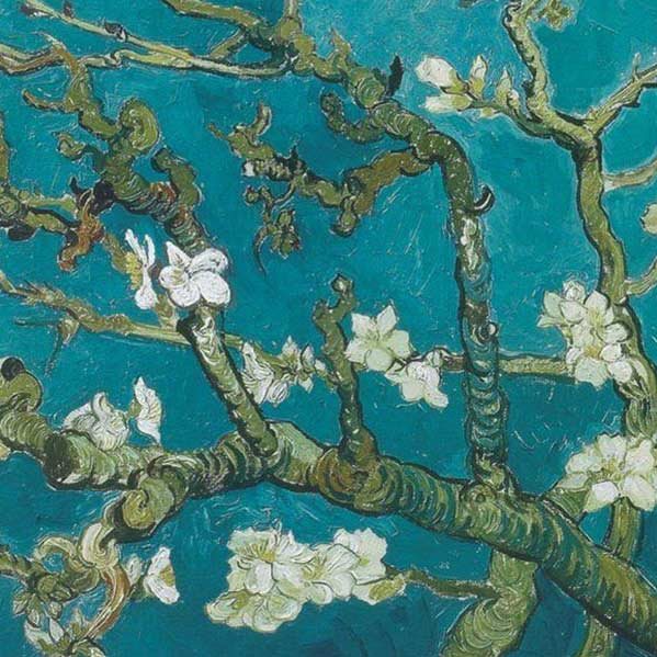 Almond Blossoms painting