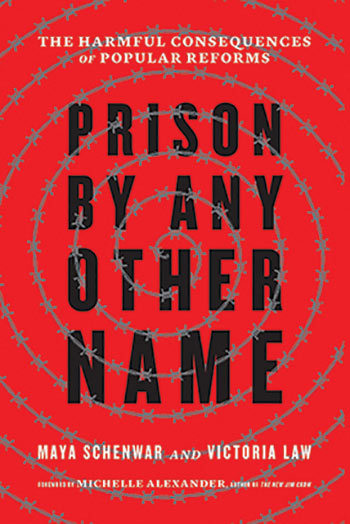 book cover of Prison by Any Other Name by Maya Schenwar and Victoria Law
