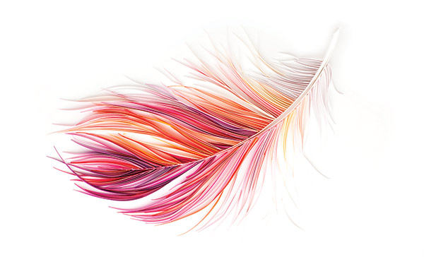a three dimensional feather made from paper