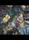 Lovers with Flowers by Marc Chagall