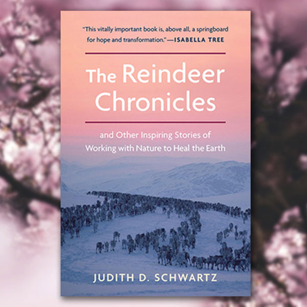 front cover of The Reindeer Chronicles against a pink flowery background