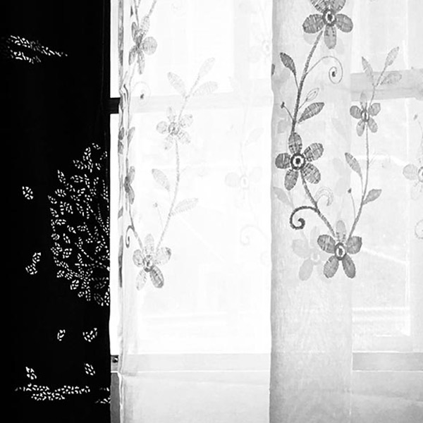 embroidered lace curtain