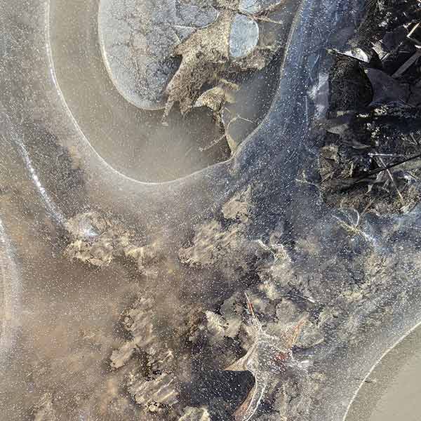 photo of a frozen stream with leaves and sticks