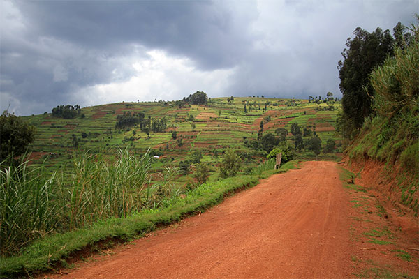 photo of Rwandan farm fields under a stormy sky