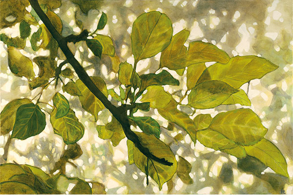 watercolor painting of leaves against the sun