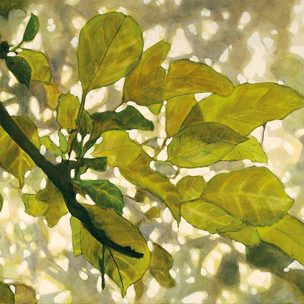 watercolor painting of leaves against the sun