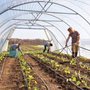 young people watering plants in a greenhouse