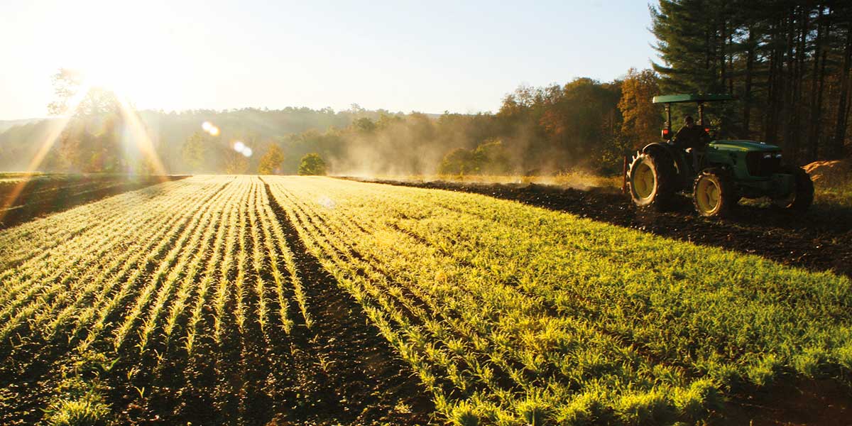 regenerative-agriculture-an-amish-farmer-s-quest-to-heal-the-land-by