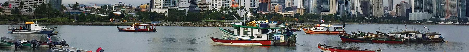 photo of boats in a bay with skyscrapers in the background