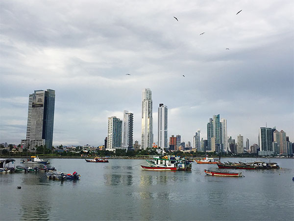 photo of boats in a bay with skyscrapers in the background