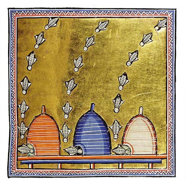 image from illuminated manuscript of bees