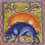image from illuminated manuscript of two pigs
