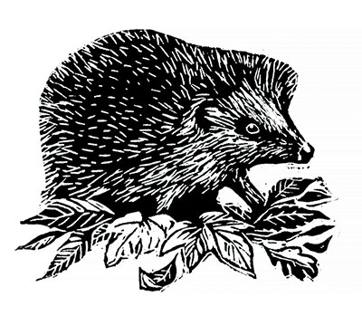 black and white woodcut image of a hedgehog