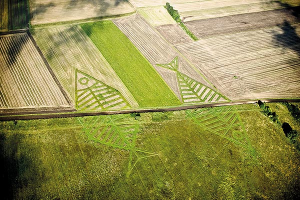 largescale landscape artwork of two fish across a border