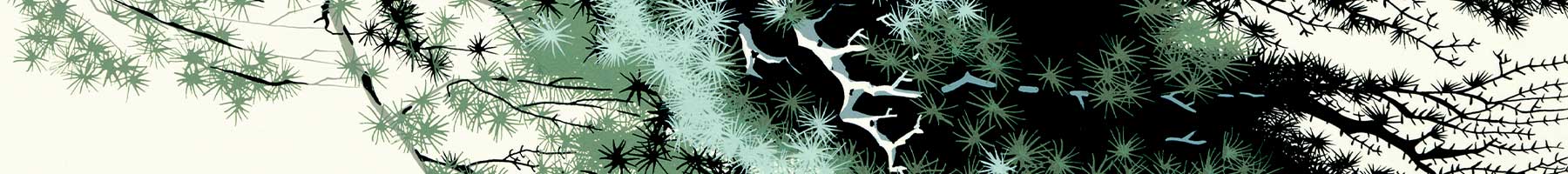 abstract style illustration of pine needles and branches