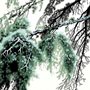 abstract style illustration of pine needles and branches
