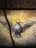 stained glass artwork of a dove surrounded by light