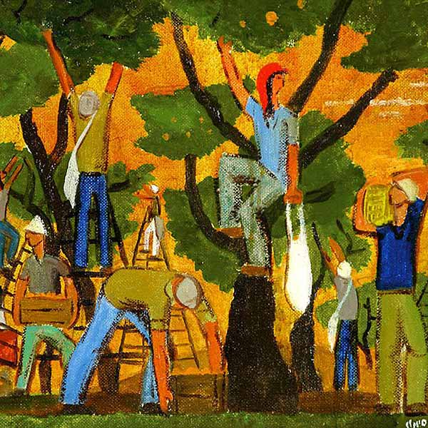 painting of people on ladders harvesting oranges