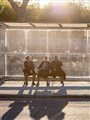 three girls sitting in a bus stop shelter in sunlight