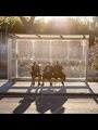three girls sitting in a bus stop shelter in sunlight