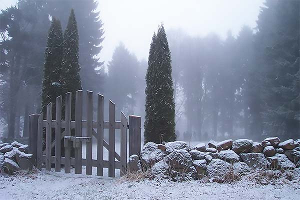 wooden gate in a stone wall around a cemetery