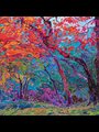 an abstract painting of a forest