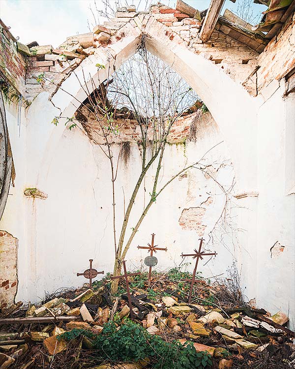 small cemetery chapel with a tree growing out of it