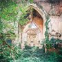 an old Gothic chapel covered with vines