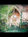 an old Gothic chapel covered with vines