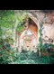 an old Gothic chapel covered with vines