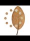 brown leaf on a white background