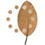 brown leaf on a white background