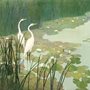 a painting of herons at the edge of a lily pad covered water