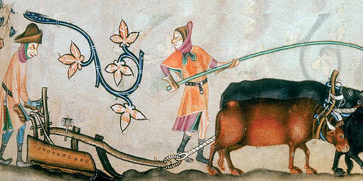 Reinventando el arado por Clare Stober