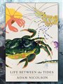 front cover of Life Between the Tides by Adam Nicolson