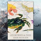 front cover of Life Between the Tides by Adam Nicolson