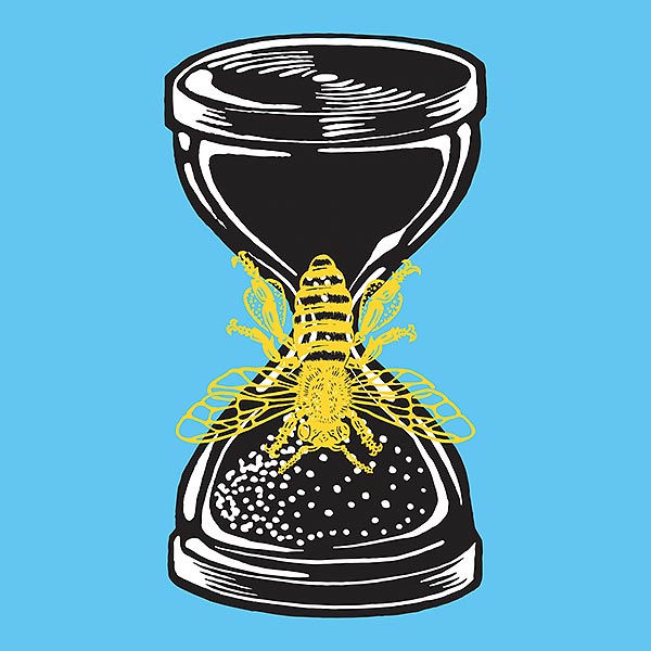 illustration of a bee laid over an illustration of a hourglass