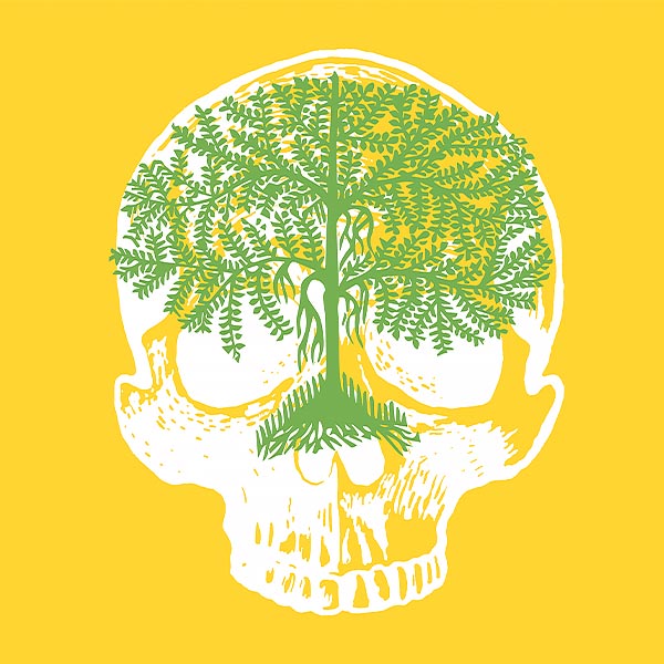 illustration of a tree laid over an illustration of a skull