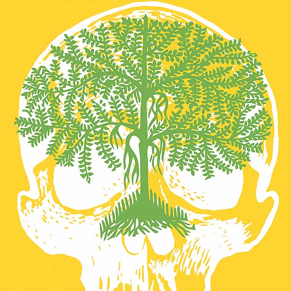 illustration of a tree laid over an illustration of a skull