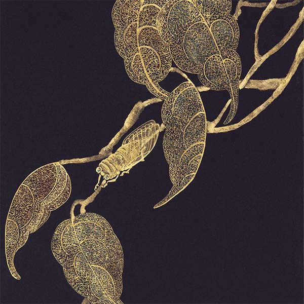 illustration of a cicada on a branch