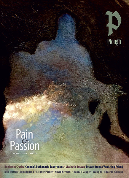 cover of Plough Quarterly Issue 35