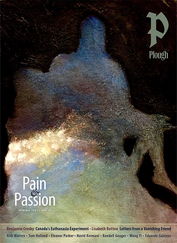 front cover of Plough Quarterly No. 35: Pain and Passion. abstract silhouette of the Pieta in blues and browns