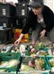 a woman sorting groceries into crates