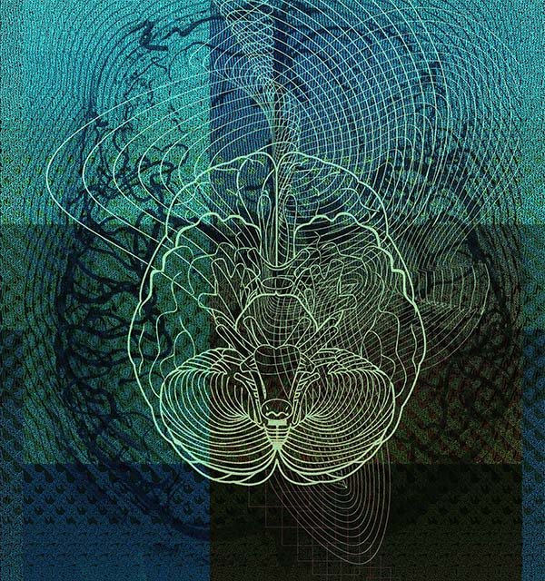 etching style artwork of a brain