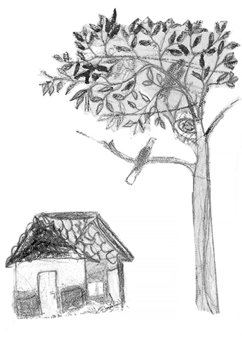 sketch of a hut under a tree