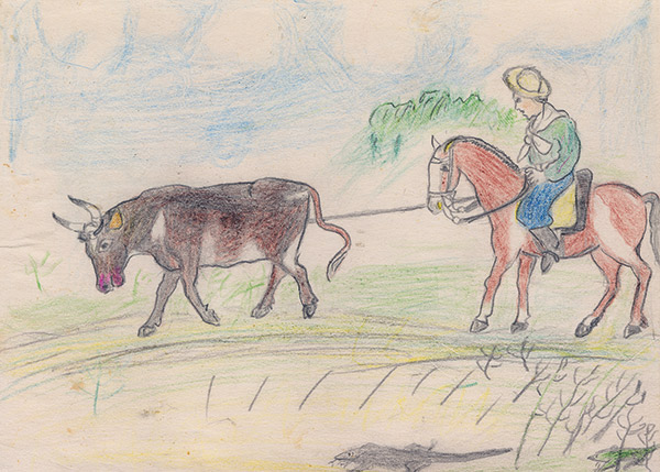 a cowboy on a horse lassoing a cow